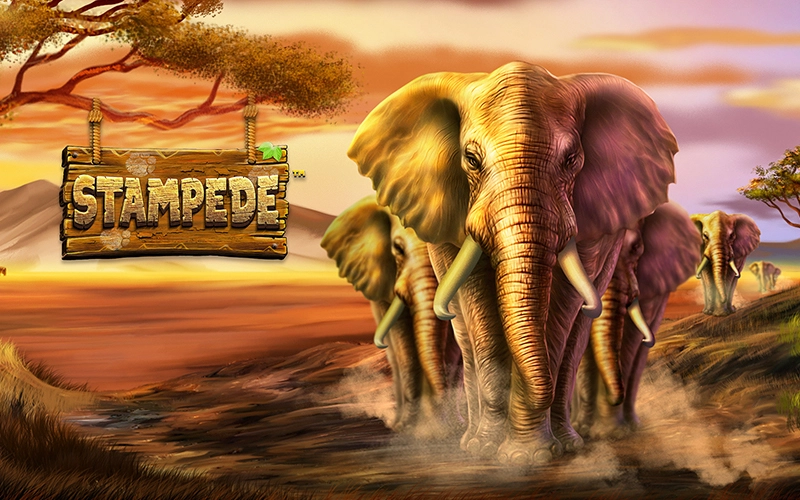 Explora la emocionante tragamonedas Stampede en Win Unique Casino.